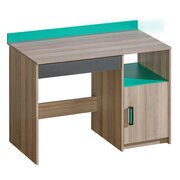 Stylefy Ulrike Table de bureau Frêne Anthracite Vert