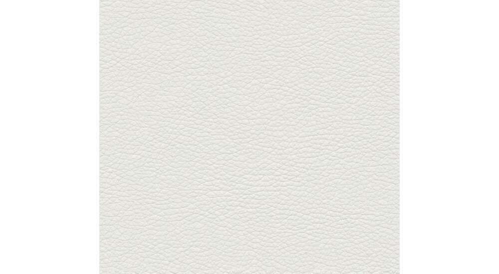 Stylefy Lourdes Lits rembourré Cuir synthétique MADRYT Blanc 120x200 cm avec sommier à stockage