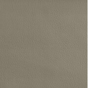 Stylefy Loona Canape Cuir synthetique Taupe
